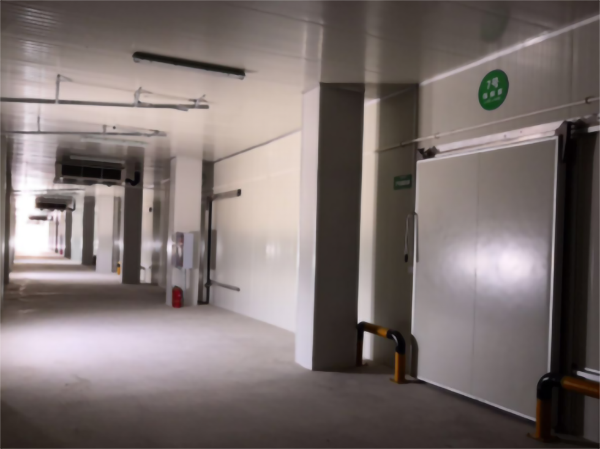 建造200噸的肉類冷鏈冷凍庫(kù)如何做好規(guī)劃設(shè)計(jì)？